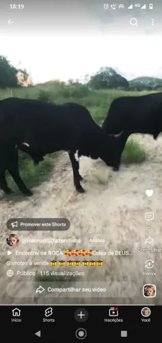 Garrotes à venda ?