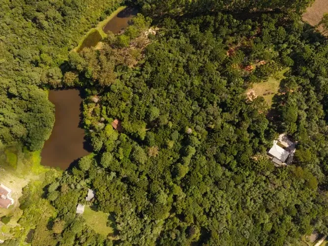 Chácara Encantadora em São José dos O: 10.446 m² de Natureza, Lago, Piscina e Paz