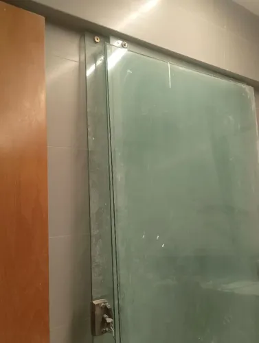 Folhas e porta de vidro
