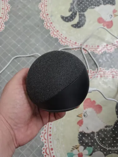 Alexa 5ª geração