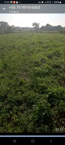 Vende-se lotes tamanho 10 por 23 valor 10 mil