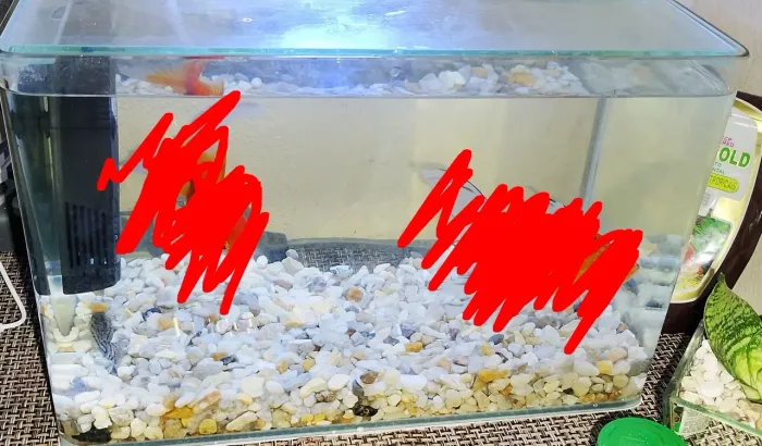 Aquário curvo 16 LT