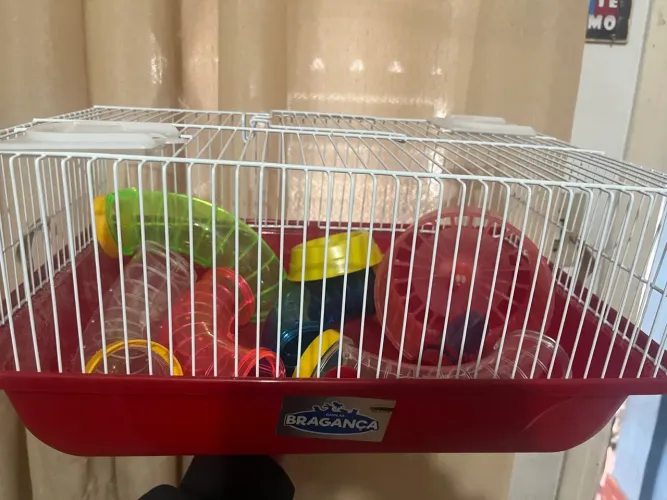 Gaiola para hamster + tubos + roda de exercício + comedouro + bebedouro