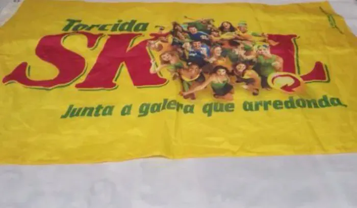 Bandeira Skol 2010