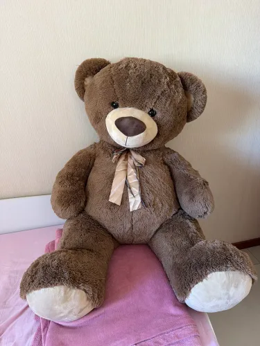 Urso gigante de pelúcia