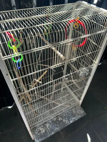 Viveiro Espaçoso para Aves