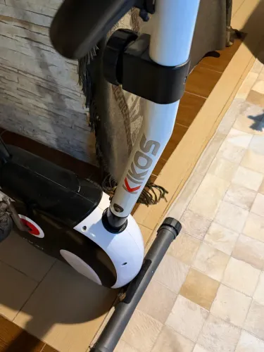Bicicleta ergométrica