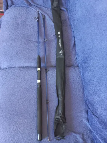 Vara de pesca com molinete
