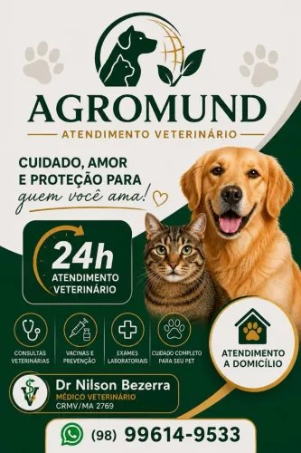 Atendimento veterinário a domicilio 24 hrs