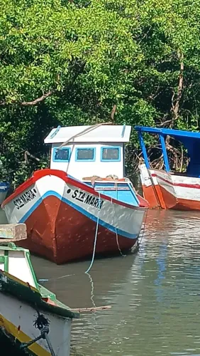 Vendo Biana semi-nova (Super oportunidade)
