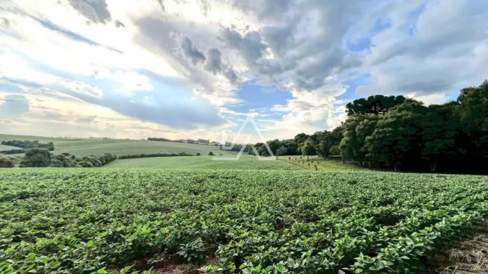 CHACARA / ÁREA DE TERRA A VENDA EM ERNESTINA - RINCÃO DO PESSEGUEIRO