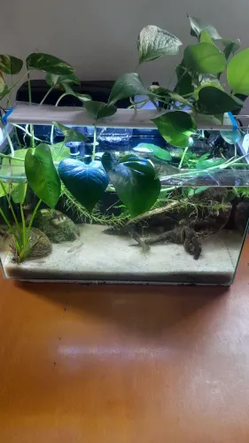 Aquário de 22,5L Completo