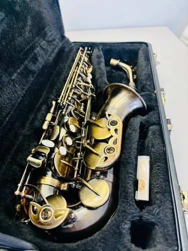 Saxofone Alto Hoyden HAS-25 Eb com case boquilha e correia