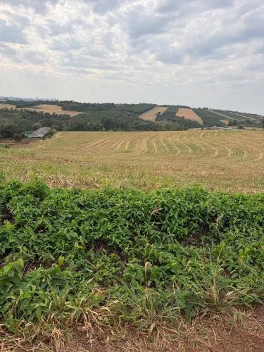 Vende se Chácara em Pirapó Apucarana