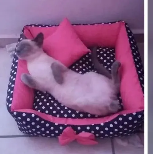 CAMA PRA PET