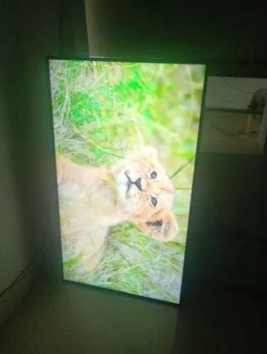 Vendo tv LG 50 polegadas esmart