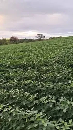 Chacara 33.88ha