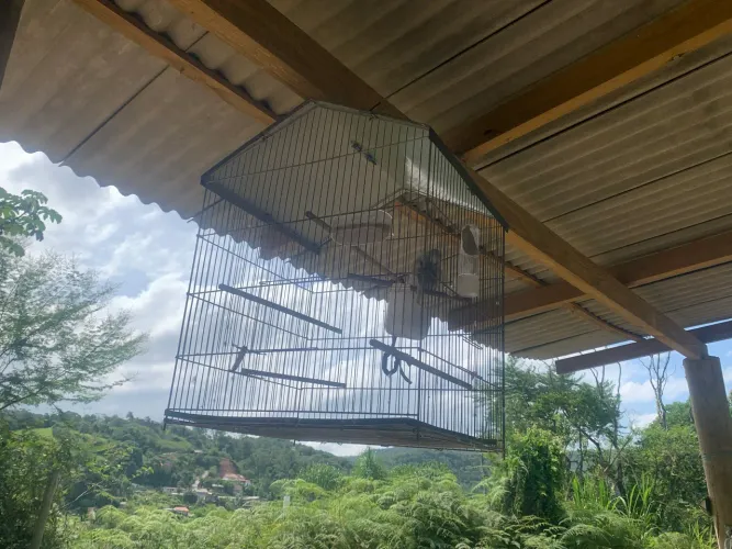 gaiola para passarinho