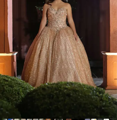 Vestido 15 anos deslumbrante,todo bordado,comprado na loja Terry Coutry Dallas