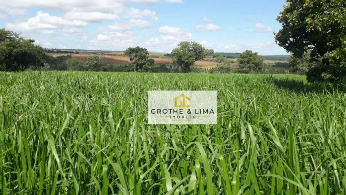 Fazenda Completa para Cria, Recria e Engorda | 365 Alq Água Clara/MS