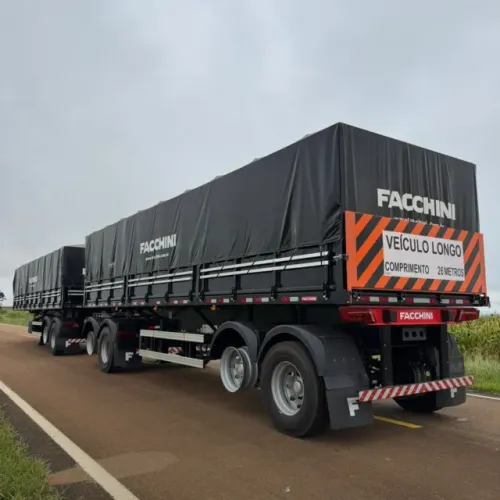 RODOTREM GRAN. FACCHINI C/DOLLY ESFERICO