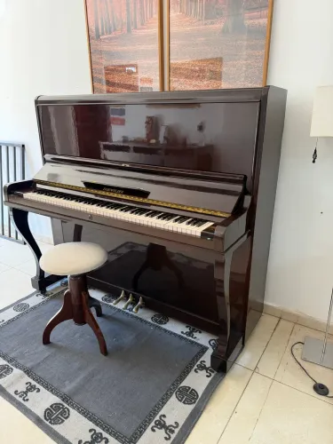 Piano Essenfelder novinho!