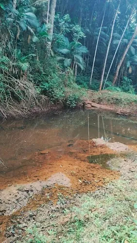 VENDO E ACEITO VEÍCULO.