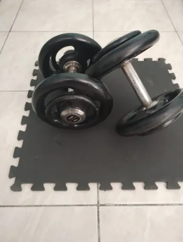 Halteres 14kg ( entrego)