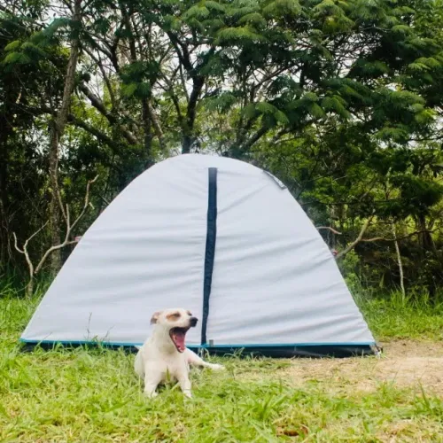 Barraca de acampar Quechua