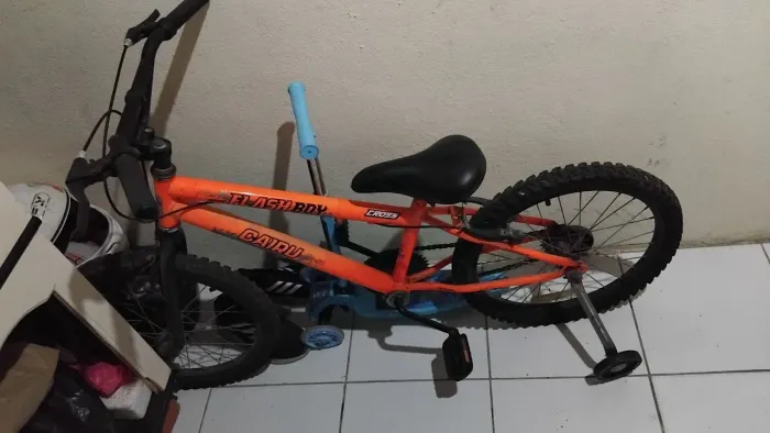 Bicicleta