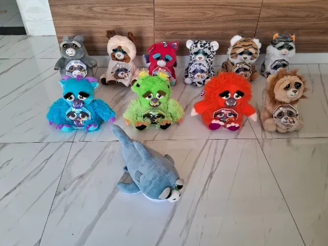 Pelucias festys