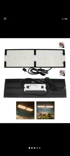 Quantum board Samsung