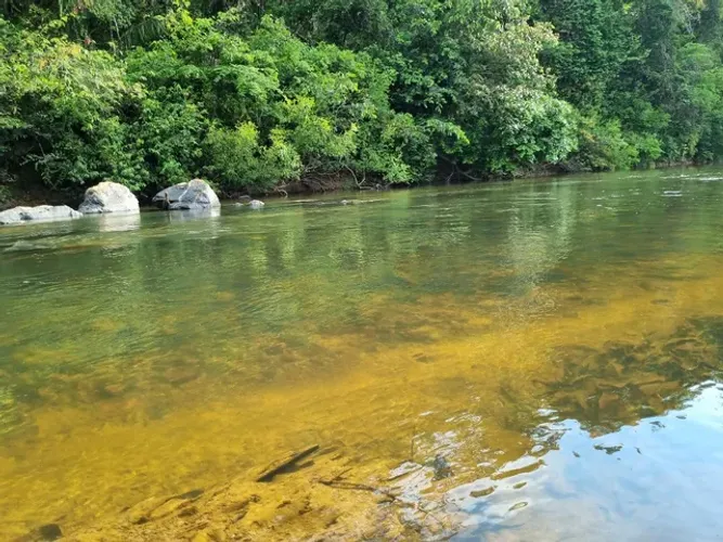 354 hectares por 1,2 milhões só até amanhã