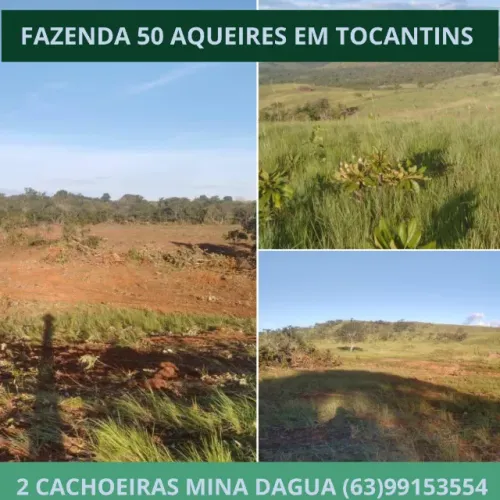 Fazenda em Tocantins, 50 Alqueires, 2 cachoeiras mina dagua, Terra, Lavoura, Platanção