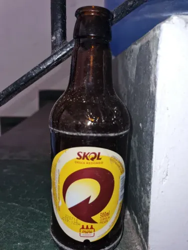 Lote com 10 garrafas retornáveis de 300 ml da Skol