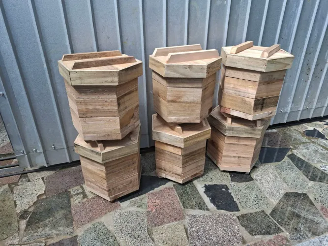 Caixas grossa 5cm pra abelha sem ferrão 