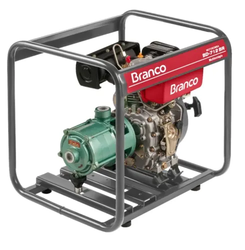 MOTOBOMBA BD 712 MULTIESTÁGIO DIESEL 1 POL PARTIDA MANUAL - BRANCO