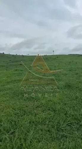 Fazenda - Cássia - Zona Rural
