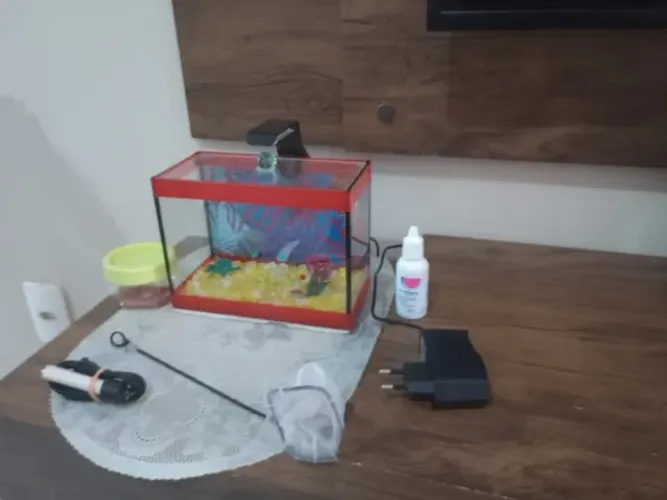 Aquário para peixe Beta