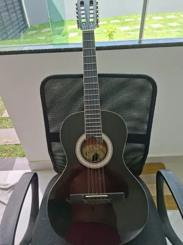 Viola caipira 10 cordas Giannini  Eletroacustica( semi nova )