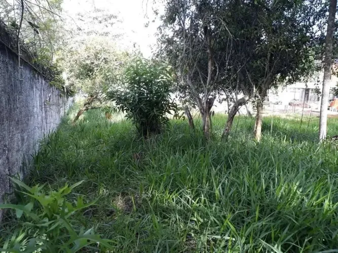 Terreno à venda em Cotia, Jardim Passárgada I, Condomínio Passargada