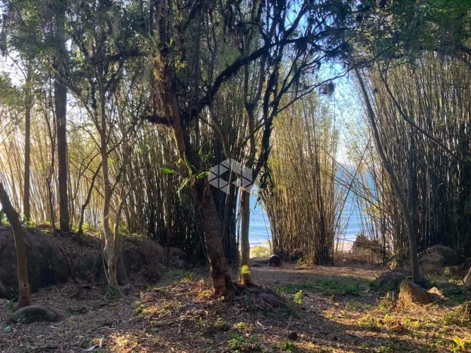 TERRENO NO BAIRRO DANIELA, EM FLORIANÓPOLIS, SC, MEDINDO 1,485M² DE ÁREA TOTAL.