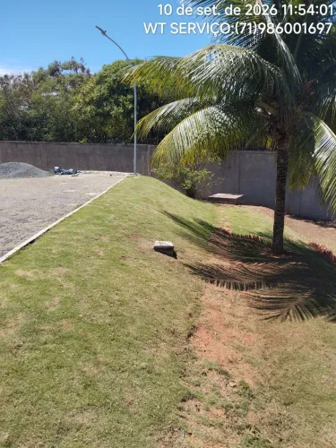 Wt serviços jardinagem é roçagem