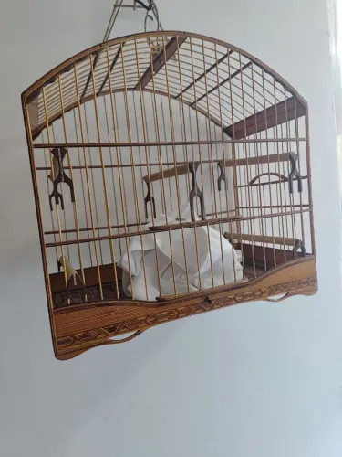Gaiola para trinca ferro