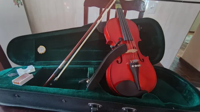 Violino Semi Novo 3/4 Michael - Com acessórios 