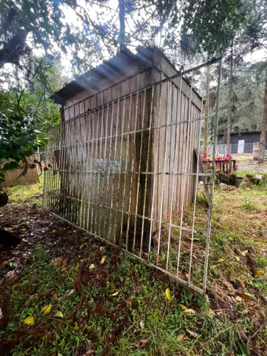 PORTÃO DE FERRO