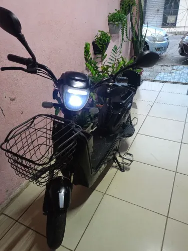 Motinha