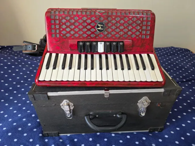 Acordeon 80 baixos Michael