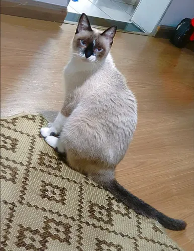 Maxine