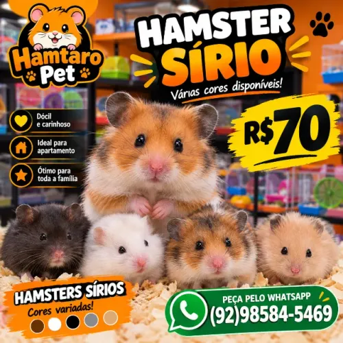 Hamster 